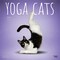Yoga Cats OFFICIAL | 2026 12 x 24 Inch (Hanging) Monthly Square Wall Calendar | Plastic-Free | BrownTrout | Animals Humor Pets